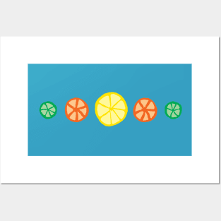 Lemon, Lime, and Orange Slices Posters and Art